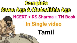 Stone Age and Chalcolithic Age in Tamil  NCERT  RS sharma  TN Book for Upsc  Marathon class [upl. by Ajile]