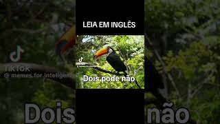 naoflopaporfavor memesengraçado infles [upl. by Dollie874]