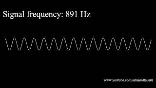 20Hz to 20kHz Human Audio Spectrum [upl. by Nemlaz]