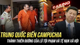 TRUNG QUỐC ĐÃ BIẾN CAMPUCHIA THÀNH THIÊN ĐƯỜNG CỦA LŨ TỘI PHẠM VÀ TỆ NẠN XÃ HỘI THẾ NÀO [upl. by Carolynne]