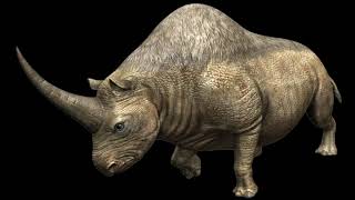 Elasmotherium Caucasicum Siberian Unicorn Rhino Sounds JW [upl. by Flann309]