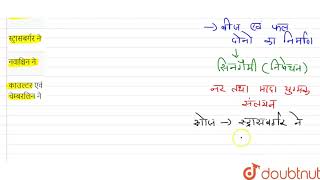 एन्जियोस्पर्म में सिनगैमी निषेचन अवधारणा की खोज की  12  पुष्पीय पादपों में लैंगिक जनन  B [upl. by Ainnat]