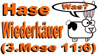 SPEISEGEBOT  BIBEL  In der Bibel steht der Hase sei ein Wiederkäuer  3Mose 116 [upl. by Lynnelle]