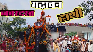 गढ़ावन जबरदस्त हाथी पासुनिया  😱 hathi Gavri 🤗🙏 nartay pasuniya 2024 [upl. by Dowd]