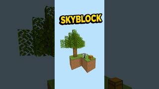 SKYBLOCK en PROBLEMAS [upl. by Ardyth]