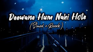 DEEWANE HUM NAHI HOTE DEEWANI RAAT AATI HAI SONG SLOWEDREVERB [upl. by Prosperus]