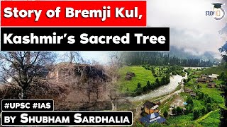 The story of Bremji Kul Kashmirs sacred tree  Kashmir’s Ancient Tree  Know all about it  JKPSC [upl. by Nalorac836]