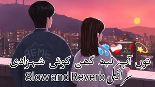 Too App Lub Ghin Koi Shehzadi  Saraiki Song Slow Reverb  Slow Reverb  hamzatypist [upl. by Buroker161]