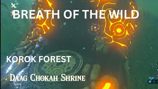 DAAG CHOKAH Shrine  Korok forest The legend of ZeldaBreath of the wild [upl. by Amitarp]