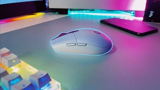 Logitech G305 Lightspeed Wireless Gaming Mouse 6 Month Review [upl. by Ehttam]