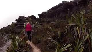 Walking Across the Top of Mount Roraima Venezuela [upl. by Swane10]