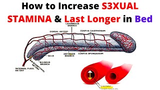 How to Increase S3XUAL STAMINA amp Last Longer in Bed  Male Pelvic Floor Exercise to Last Longer [upl. by Lieberman]