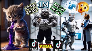 Mrwhisey cat 1 Million Tik Tok views 🤯Meow Meow miew miew [upl. by Jacquie]