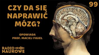 Leczenie mózgu – jak nauka chce pokonać choroby neurodegeneracyjne  prof Maciej Figiel [upl. by Ayanet580]