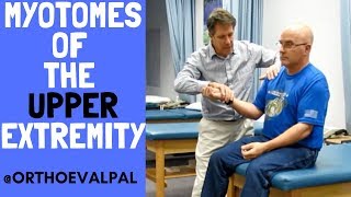 Myotomes of the Upper Extremity with OEP [upl. by Brooking]