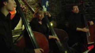 BASS TALK  Double Bass Trio  Live No2 [upl. by Naelcm]