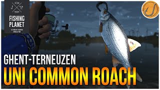 Unique Common Roach of GhentTerneuzen Canal  Fishing Planet Test Your Spot Series [upl. by Nasah533]