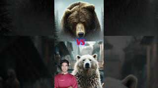 Polar bear vs Grizzly bear ज्यादा ठंडी जगह कौन रह पाएगा ProfessorNitin [upl. by Eileek859]