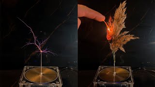 Experiment with Tesla Coil Spikelet [upl. by Akilegna]