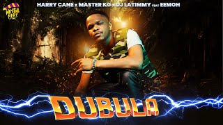 Dubula Nyusa Nyusa HarryCane x Master KG amp DJ Latimmy FeatEemoh [upl. by Dulcine]