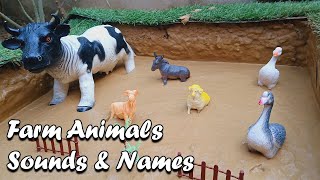 quotFarm Animal Sounds Learn the Names and Noisesquot [upl. by Sauncho]