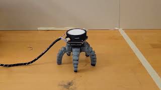 Funguscontrolled biohybrid robots [upl. by Paviour]