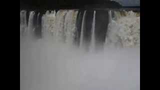 Cataratas del Iguazú  Vencejos [upl. by Gadmann227]