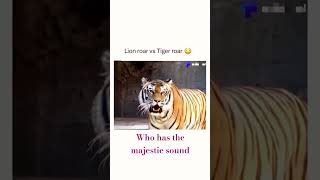 Lion Roar vs Tiger Roar😱animals kids safari lionsound tigersound zoo [upl. by Sturges200]