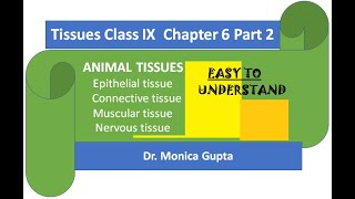 Tissues Class IX Chapter 6 Part 2 By Dr Monica Gupta [upl. by Dlonyar]