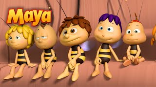 MAYA Y WILLY YA ESTÁN LISTOS PARA LA VUELTA AL COLE 🐝 CAPÍTULOS DE MAYA para niños en ESPAÑOL 🐝 [upl. by Ennayhs]