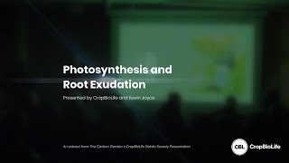 Photosynthesis and Root Exudation [upl. by Eislrahc]