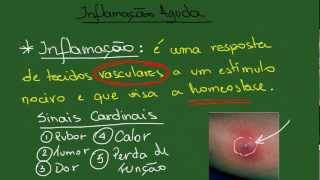 Inflamação Aguda  Resumo  Patologia Geral [upl. by Meagher193]