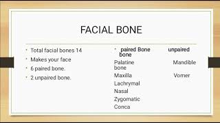 education axial skeletonlacture No2biology anatomy 👈👆 [upl. by Fakieh]