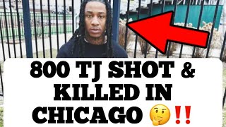 800 TJ Shot amp Killed In Chicago By His OPPS [upl. by Maia]