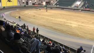 2017 9th Annual Indoor Dirt Karting Championships  Williamston NC  Pro Clone 3000 To Win [upl. by Raymund]