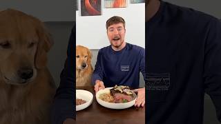 Feeding A Dog 1 vs 10000 Steak [upl. by Dnomasor676]