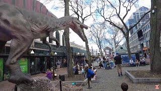 walking Tour Boston Faneuil Hall Quincy Market North End Common [upl. by Iamhaj98]