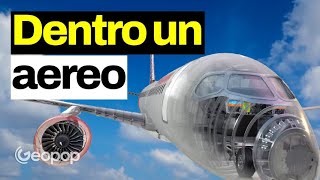 Come è fatto e come funziona un aereo di linea Ecco la ricostruzione 3D [upl. by Niawtna550]