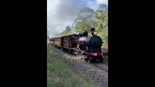 Steam Locomotives 3265 amp 3001 in action steamtrain steamengine [upl. by Beauvais]