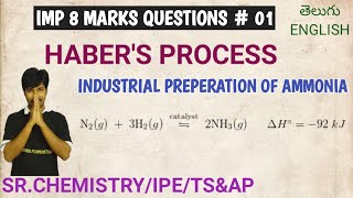 HABERS PROCESS Industrial Preperation of Ammonia Class 12Chemistry [upl. by Norehc275]