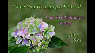 2023 Cape Cod Hydrangea Societys Hydrangea Festival Tour [upl. by Salis973]