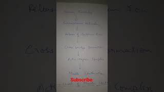 🔴 Steps Of muscle contraction  Muscles  Calcium  Class 11  Biology  Locomotion and Movement [upl. by Anirod597]