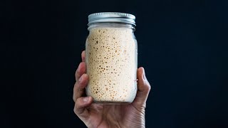 My Easy and Wild SOURDOUGH STARTER Recipe shorts [upl. by Gala304]