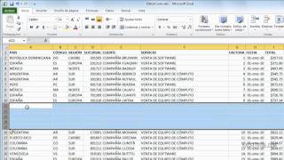 Cómo insertar columnas y filas en Excel [upl. by Nnylyaj]