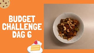 Budgetchallenge dag 6 een wokgerecht met kip 172 [upl. by Ataeb581]