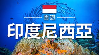 【印度尼西亞】旅遊  印度尼西亞必去景點介紹  東南亞旅遊  Indonesia Travel  雲遊 [upl. by Gisela]