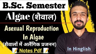 Asexual Reproduction In Algae  Reproduction In Algae  Bsc Semester  By Dadhich Sir [upl. by Nicolea]