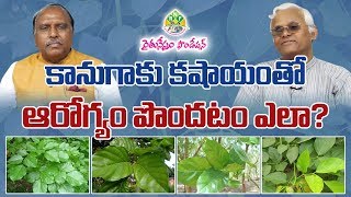 Millettia Pinnata  Kanuga  Medicinal Values  Health Benefits  Dr Khader Valli  Rythunestham [upl. by Odnuges]