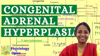 Congenital adrenal hyperplasia  Adrenogenital syndrome  CAH disease  mbbs lectures [upl. by Eterg679]