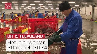 Dit is Flevoland van woensdag 20 maart 2024  Omroep Flevoland [upl. by Atiuqin587]